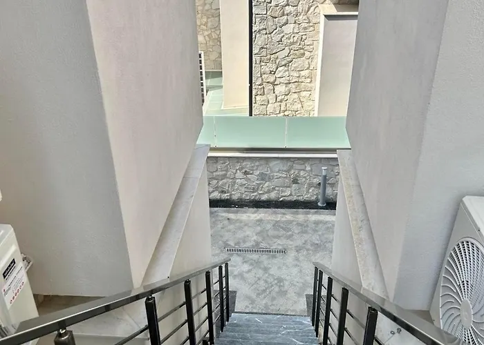 Magnuslux 卡尼奥提